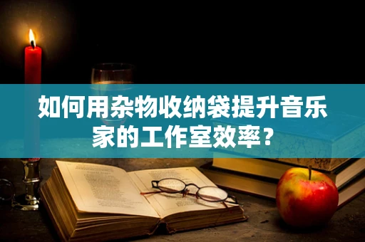 如何用杂物收纳袋提升音乐家的工作室效率？