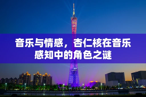 音乐与情感，杏仁核在音乐感知中的角色之谜