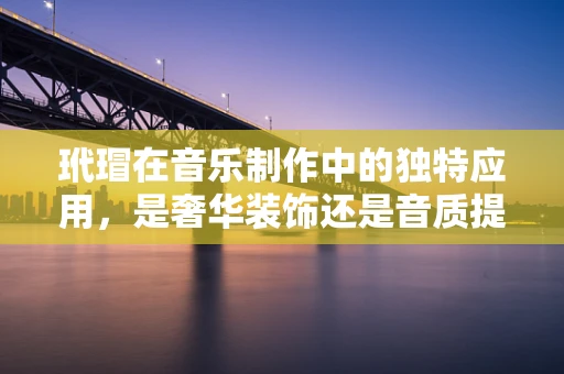 玳瑁在音乐制作中的独特应用，是奢华装饰还是音质提升的秘密？