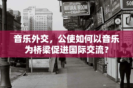 音乐外交，公使如何以音乐为桥梁促进国际交流？