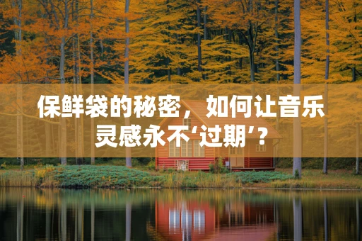 保鲜袋的秘密，如何让音乐灵感永不‘过期’？