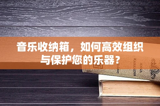 音乐收纳箱，如何高效组织与保护您的乐器？