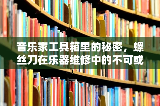 音乐家工具箱里的秘密，螺丝刀在乐器维修中的不可或缺性