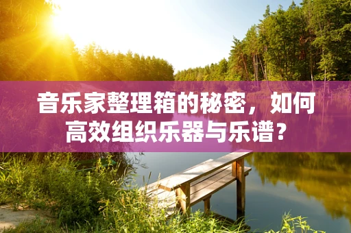 音乐家整理箱的秘密，如何高效组织乐器与乐谱？